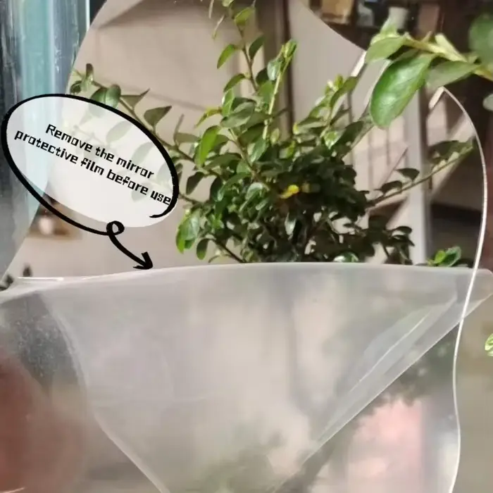 Miroir décoratif irrégulier INS