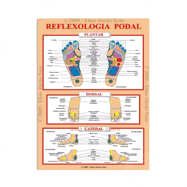 Tableau de pied Joendocof, anatomie, atoologie, affiches, peinture sur toile, impression, art mural,