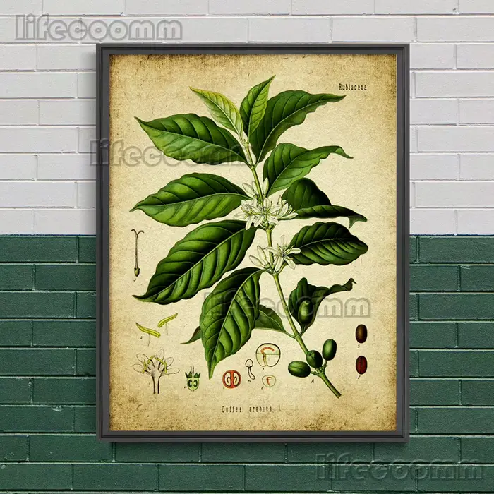 Peinture sur toile d'art mural vintage, fleur de magnolia, rose, fougère, houblon, botanique antique