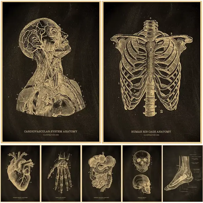 Affiches nostalgiques, tableau d'anatomie, imprimés, parties du corps, cœur, main, pied, dessin, Vintage, décoration murale pour salle de maison, peinture