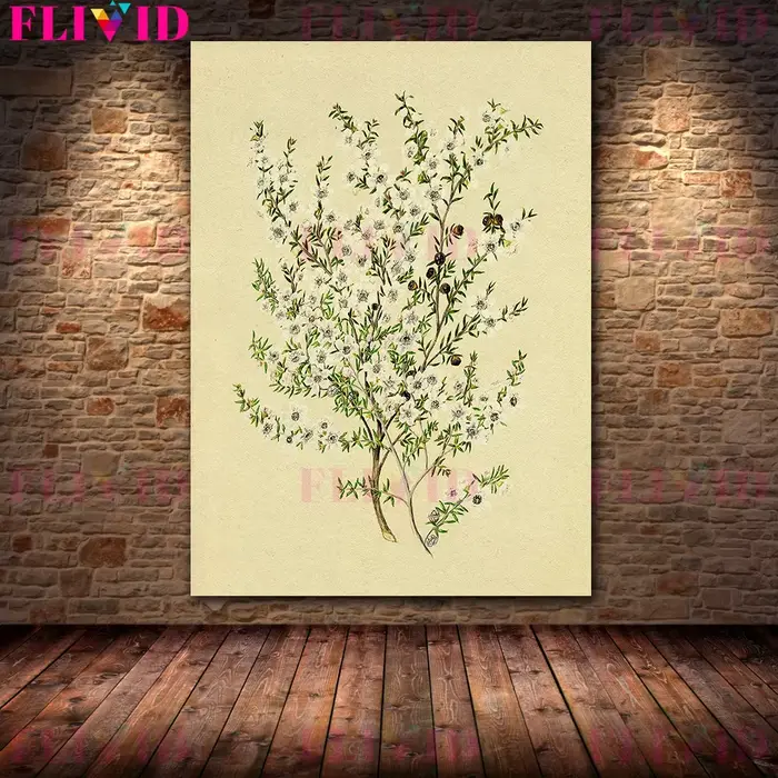 Arbre de branche d'olivier et branche de fleur blanche