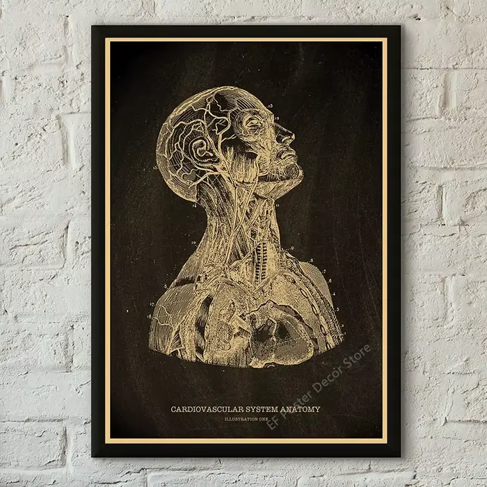 Affiche médicale Vintage