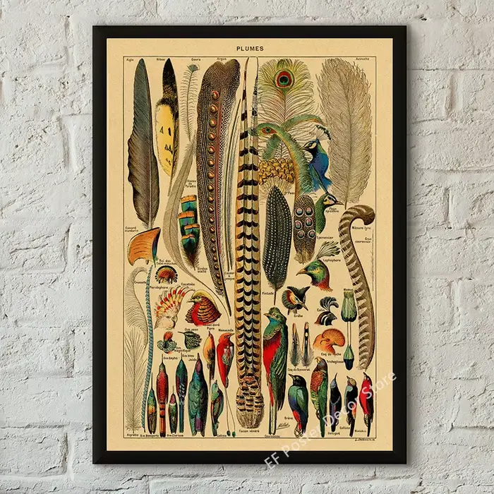 Affiche rétro de champignons imprimés d'art botanique, peinture d'étude d'animaux/fleurs/plantes/feu