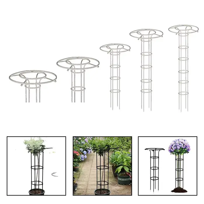 Cadre en grille arquée de 150 cm