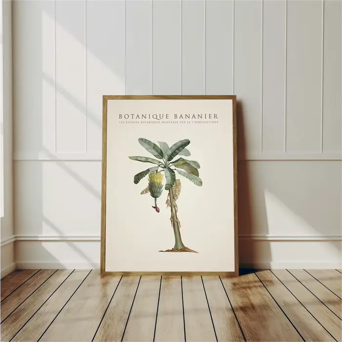 Affiches de palmiers tropicaux et d'arbre de bananier