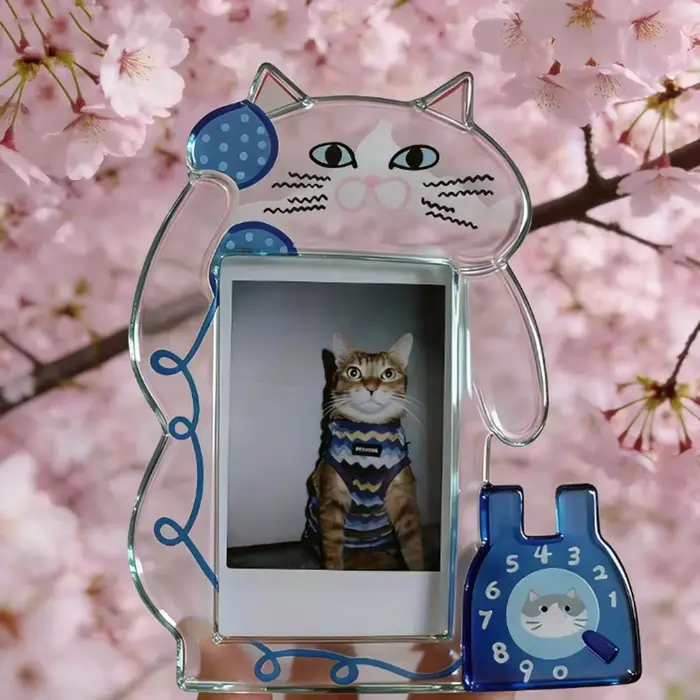 Nouveau cadre photo en acrylique pour chatons