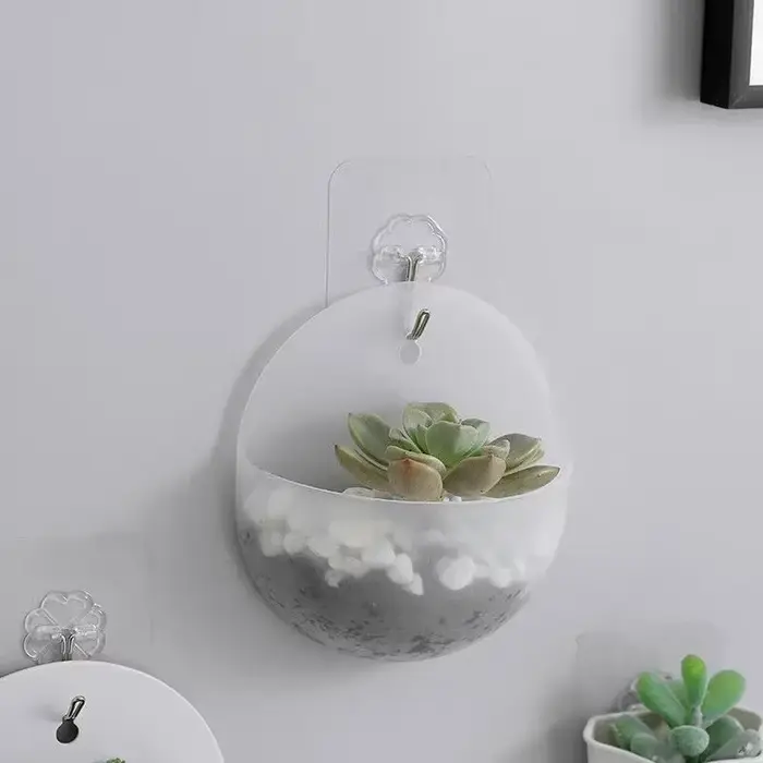 Plante de fleurs jardin intérieur maison