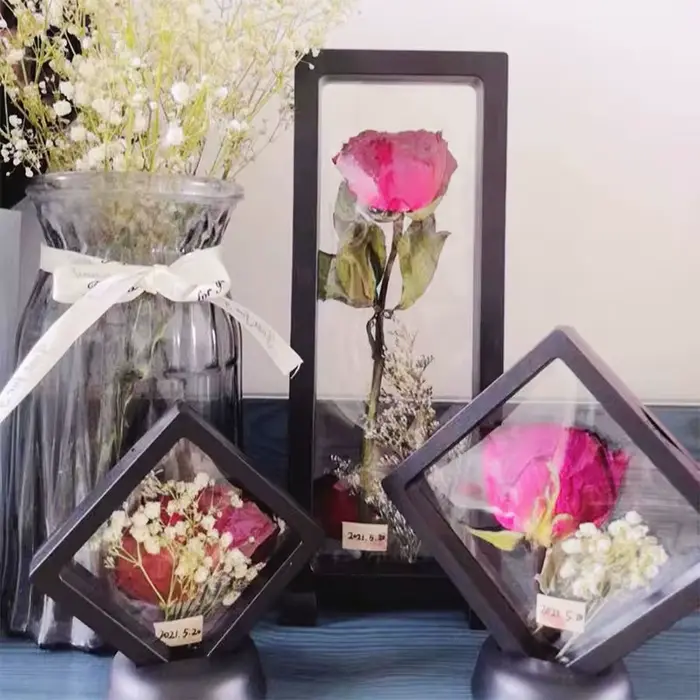 Porte-spécimen de fleurs séchées