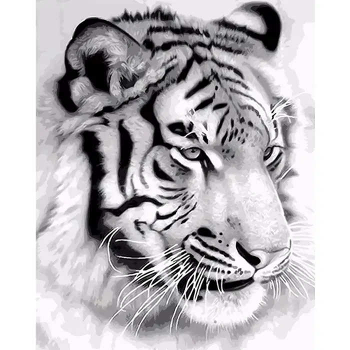 Peinture par numéros bricolage tête de tigre noir et blanc, Kit de peinture par numéros, cadeau pour