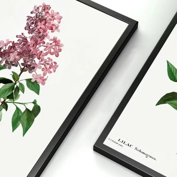 Vintage Botanical Studies Canvas Painting