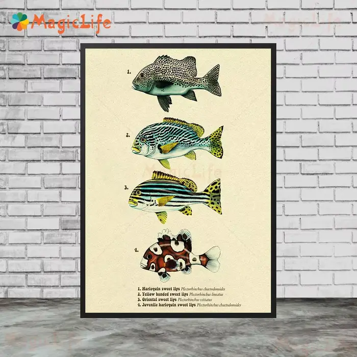 Affiches murales vintage de poissons de mer