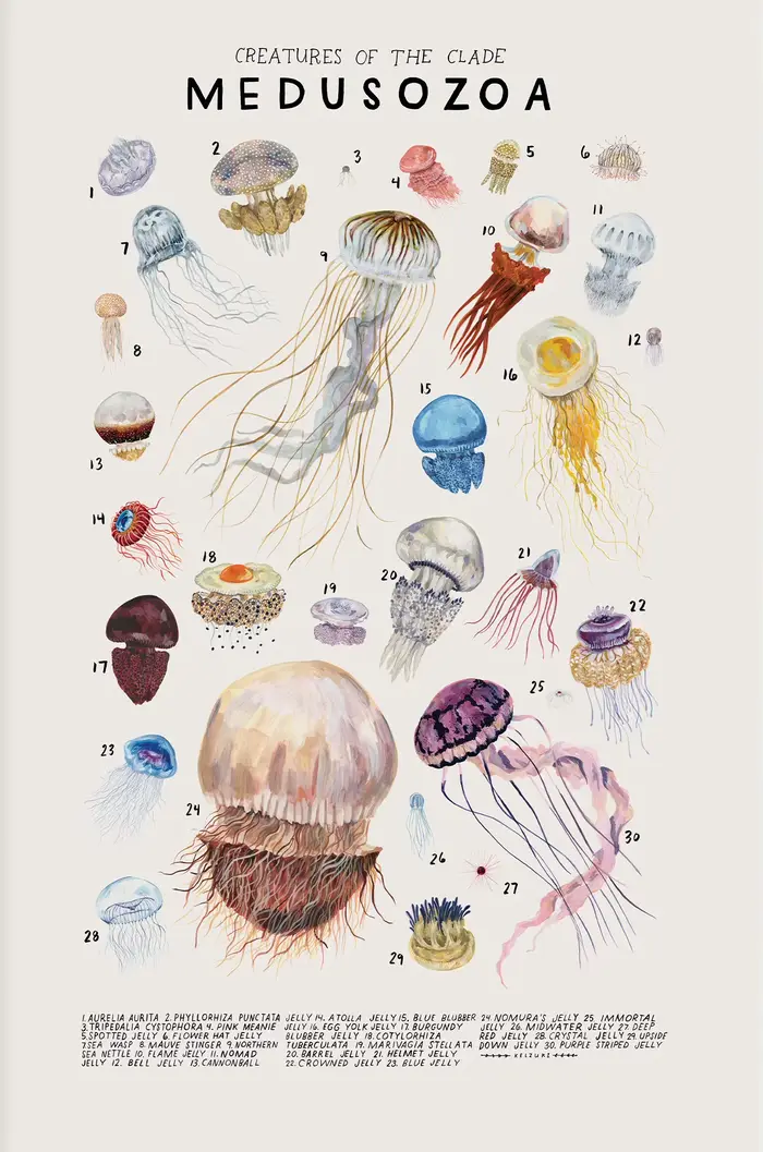 Organismes marins abstraits, méduse, baleine, calmar, poissons, affiches, peinture sur toile et impr