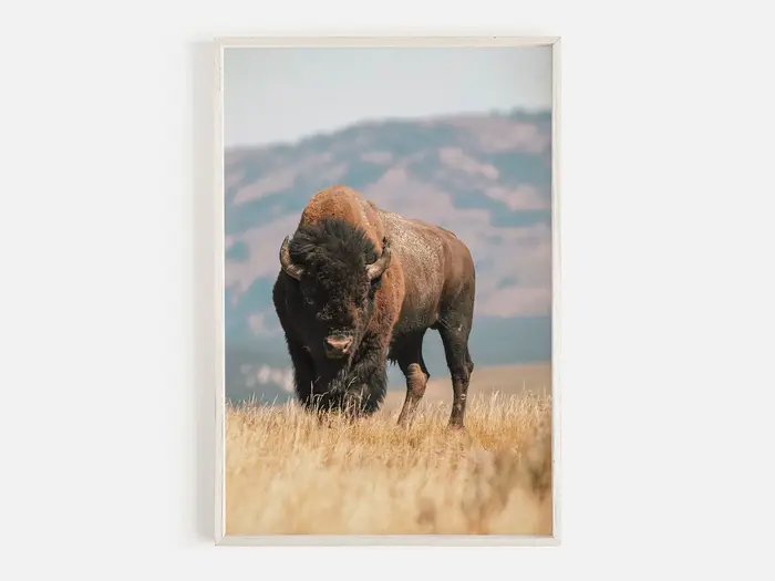 Peinture sur toile rustique pour la décoration intérieure