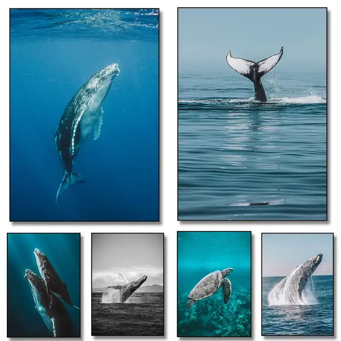 Affiches d'art de créatures marines