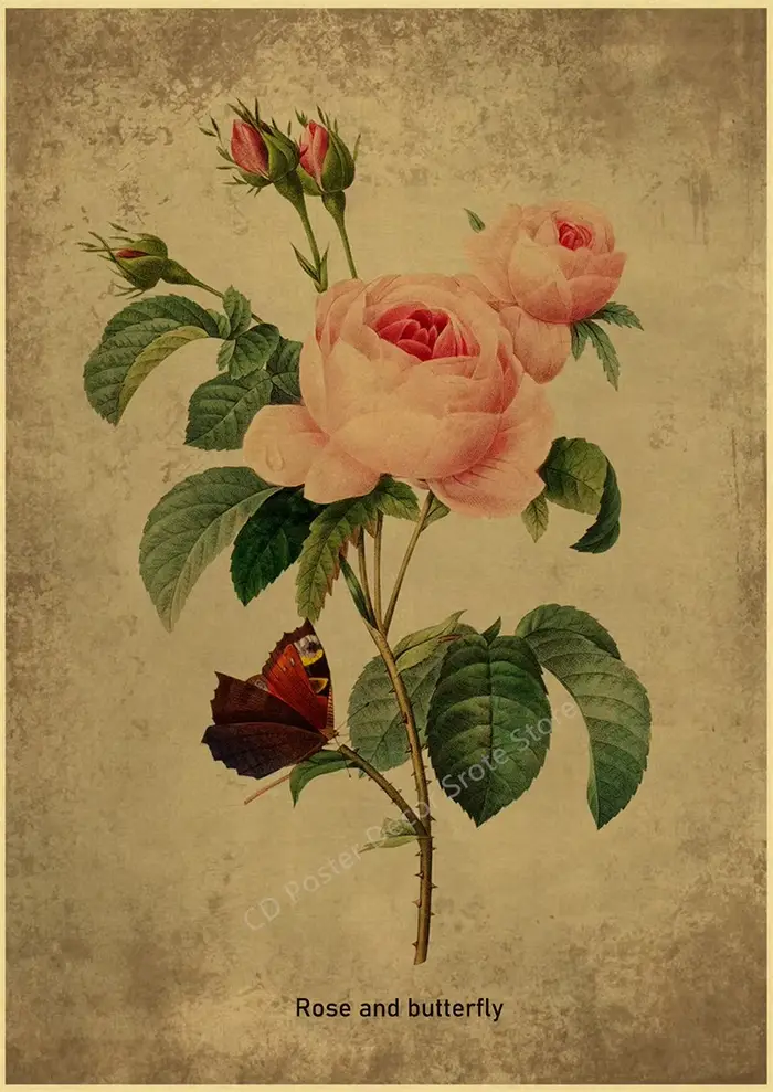 Affiche Botanique Vintage avec Herbes et Plantes