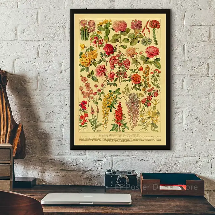 Affiche d'illustration botanique Antique