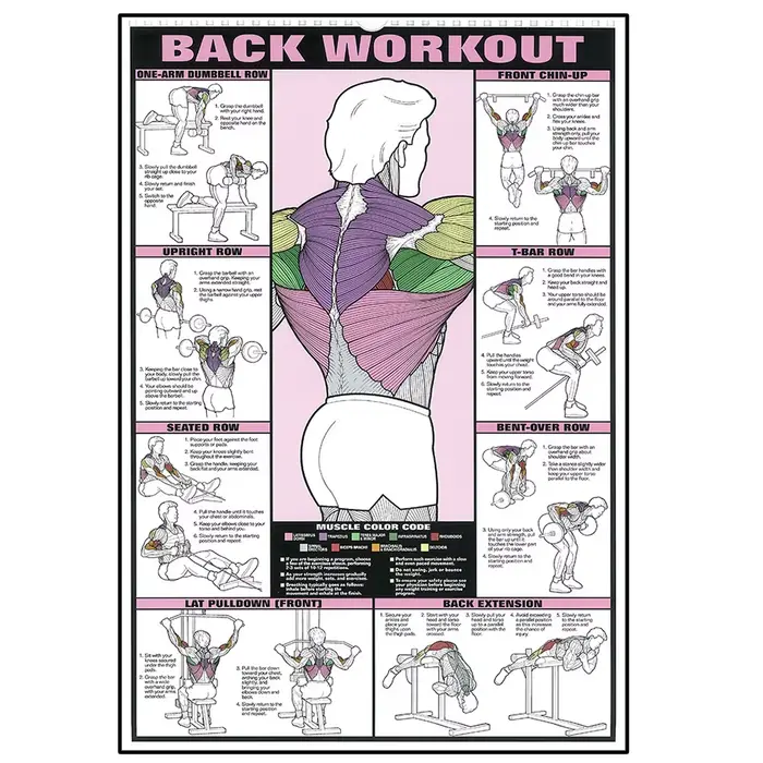 Activités de Fitness d'entraînement, peinture de Vanvas, tableau de Train musculaire, affiche d'art 