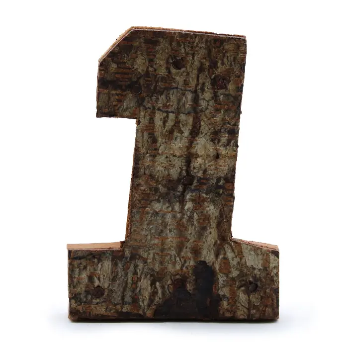Rustic Bark Number - 1 - 7cm
