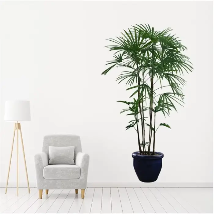 Autocollants muraux de Simulation de plantes en pot de verdure