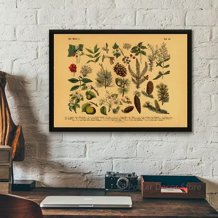 Affiche de botanique de cuisine