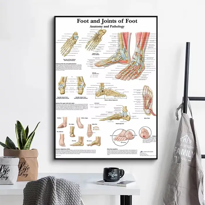 Tableau de pied Joendocof