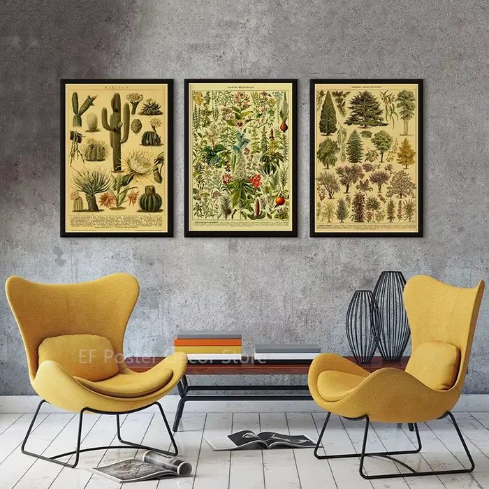 Affiche d'illustration botanique Antique