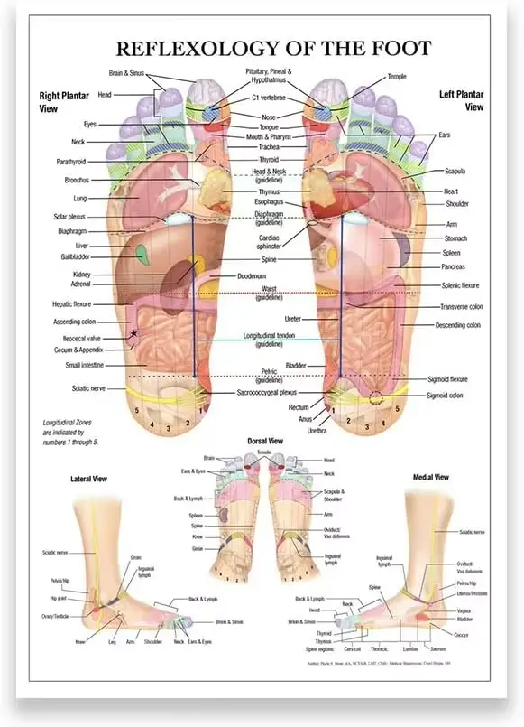 Massage de réflexologie des pieds