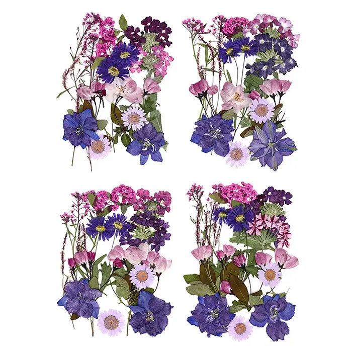 Fleurs séchées véritable plante naturelle pressée fleur pour résine époxy remplissage bricolage Nail Art artisanat