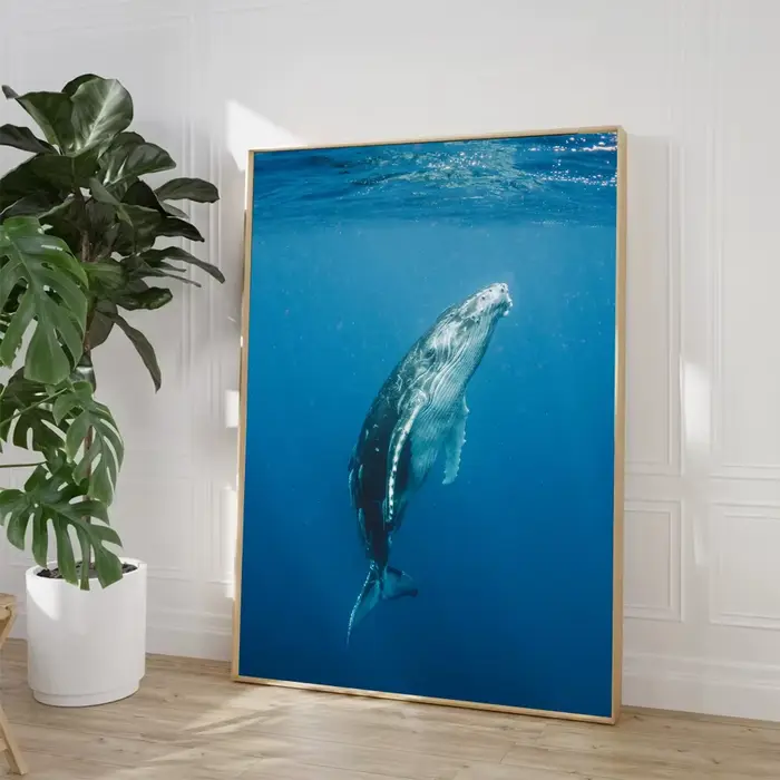 Affiches d'art de créatures marines