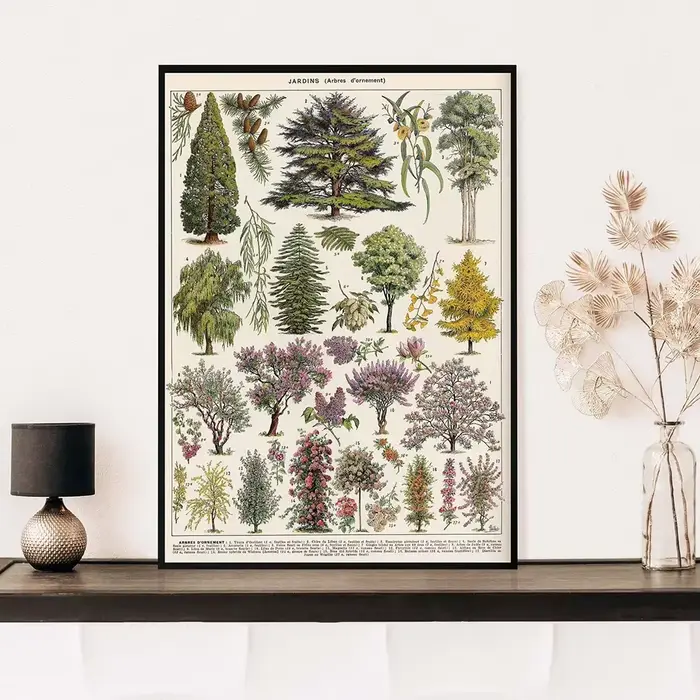 Affiches et imprimés Vintage d'encyclopédie Adolphe Millot