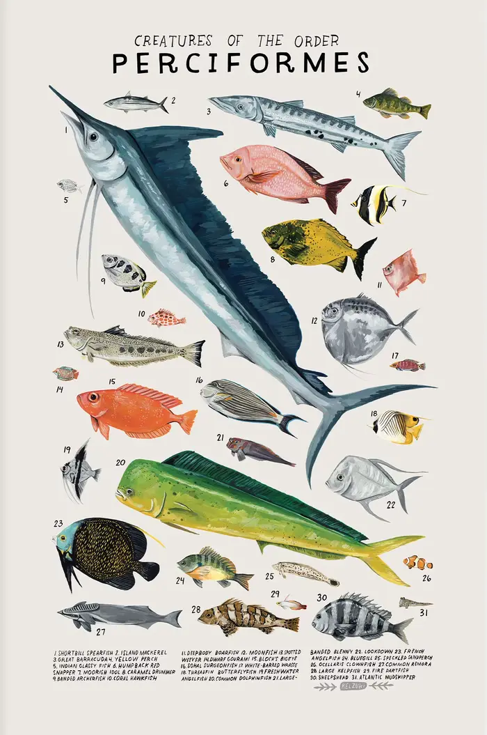 Organismes marins abstraits, méduse, baleine, calmar, poissons, affiches, peinture sur toile et impr