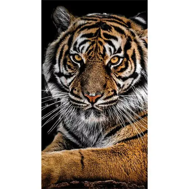 Peinture sur toile d'animaux, tigre, art mural, affiches de décoration, impressions HD, décoration d