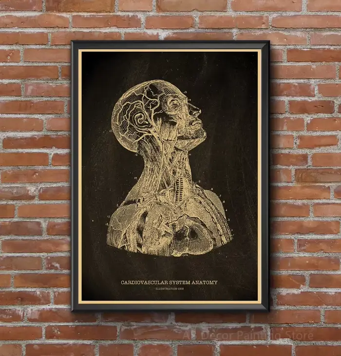 Affiches nostalgiques, tableau d'anatomie, imprimés, parties du corps, cœur, main, pied, dessin, Vintage, décoration murale pour salle de maison, peinture