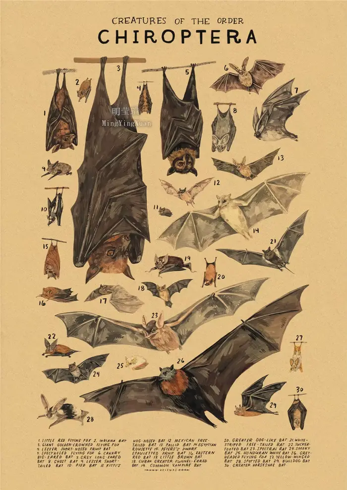 Affiches en papier kraft sur le thème des organismes marins, impression de méduses, de baleines, de 