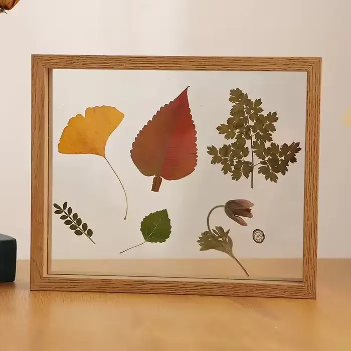 Cadre en verre transparent double face pour l'affichage de photos
