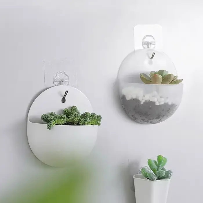Plante de fleurs jardin intérieur maison