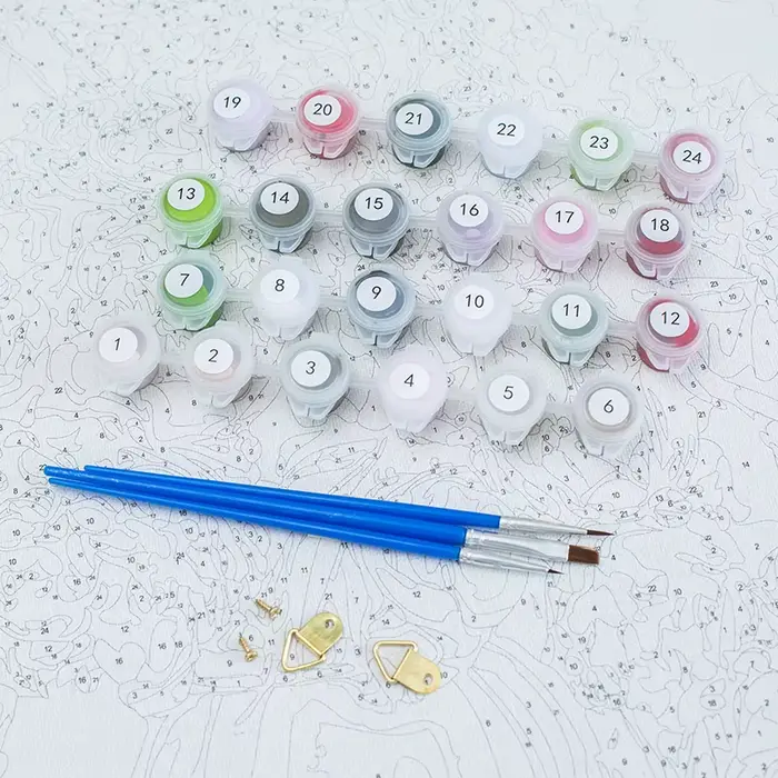 Kits de peinture par numéros de femme