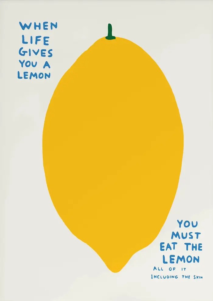 David Shrigley – affiche humoristique classique, toile imprimée, images de maison pour salon, chambr