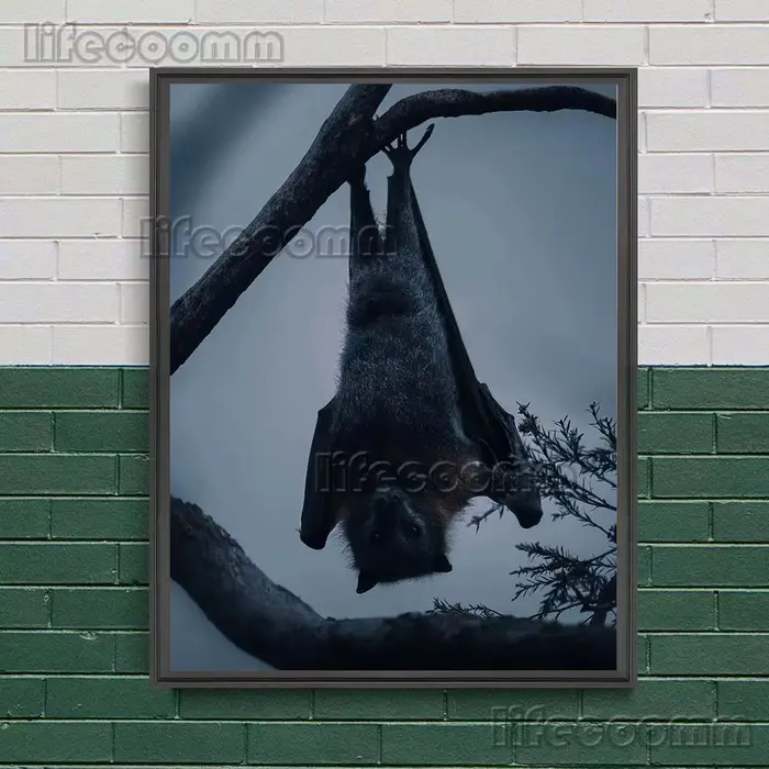 Toile d'art mural le Terrible chauve-souris dans la nuit