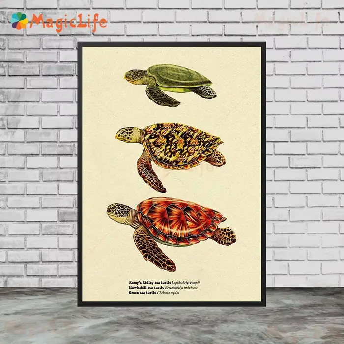 Affiches murales vintage de poissons de mer, tortue et requin, peinture sur toile sans cadre, art mu