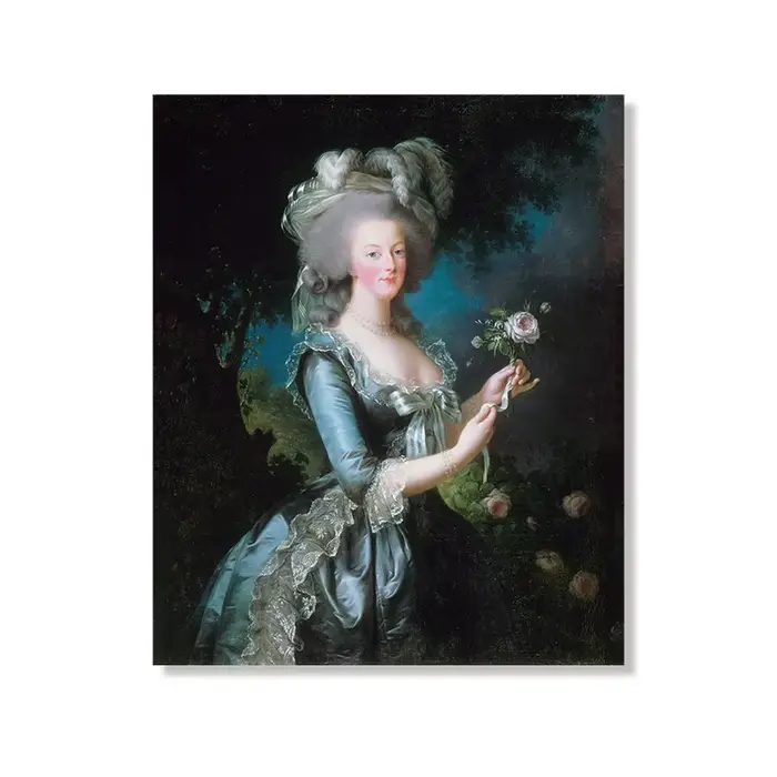 Illustration française Antique, Portrait de Marie Antoinette, peinture à l'huile, imprimés d'art, re