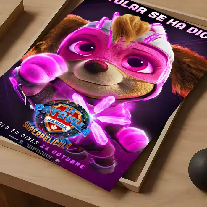 Affiche P-AWs P-PatrolS
