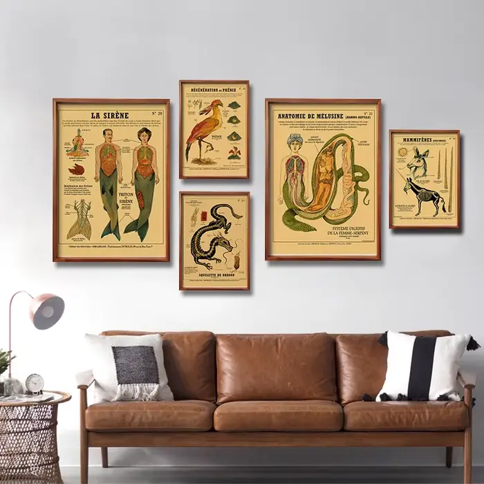 Affiche d'anatomie de sirène