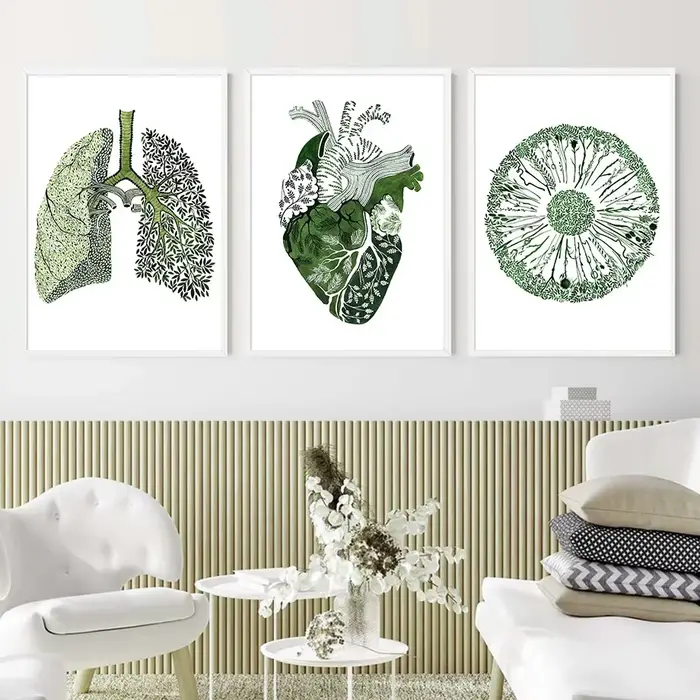 Affiches nordiques d'anatomie de médecine abstraite verte
