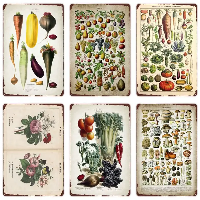 Affiche Rétro Plantes Légumes