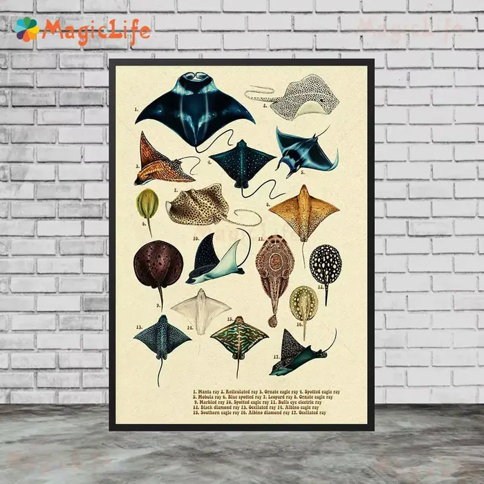 Affiches murales vintage de poissons de mer