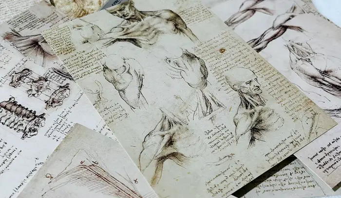 30 feuilles/Lot Leonardo Da Vinci croquis peinture carte postale Vintage Art