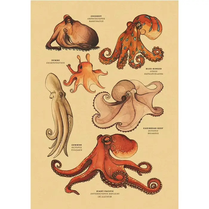 Affiches en papier kraft sur le thème des organismes marins