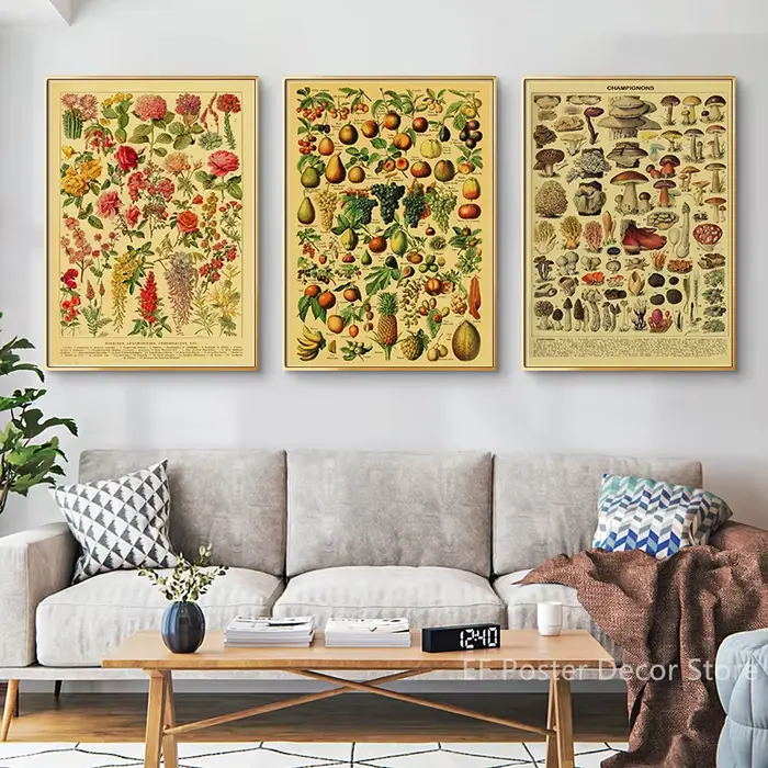 Affiche d'illustration botanique Antique