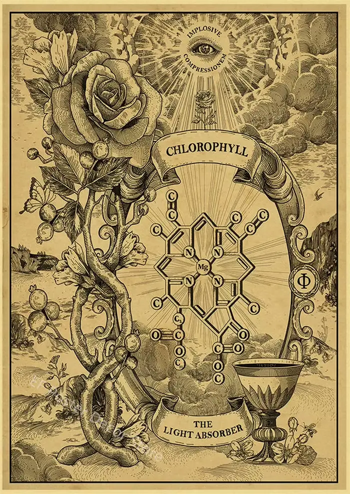 Affiche de sorcellerie médiévale, peinture magique et mystérieuse, image d'art mural, décor de maiso
